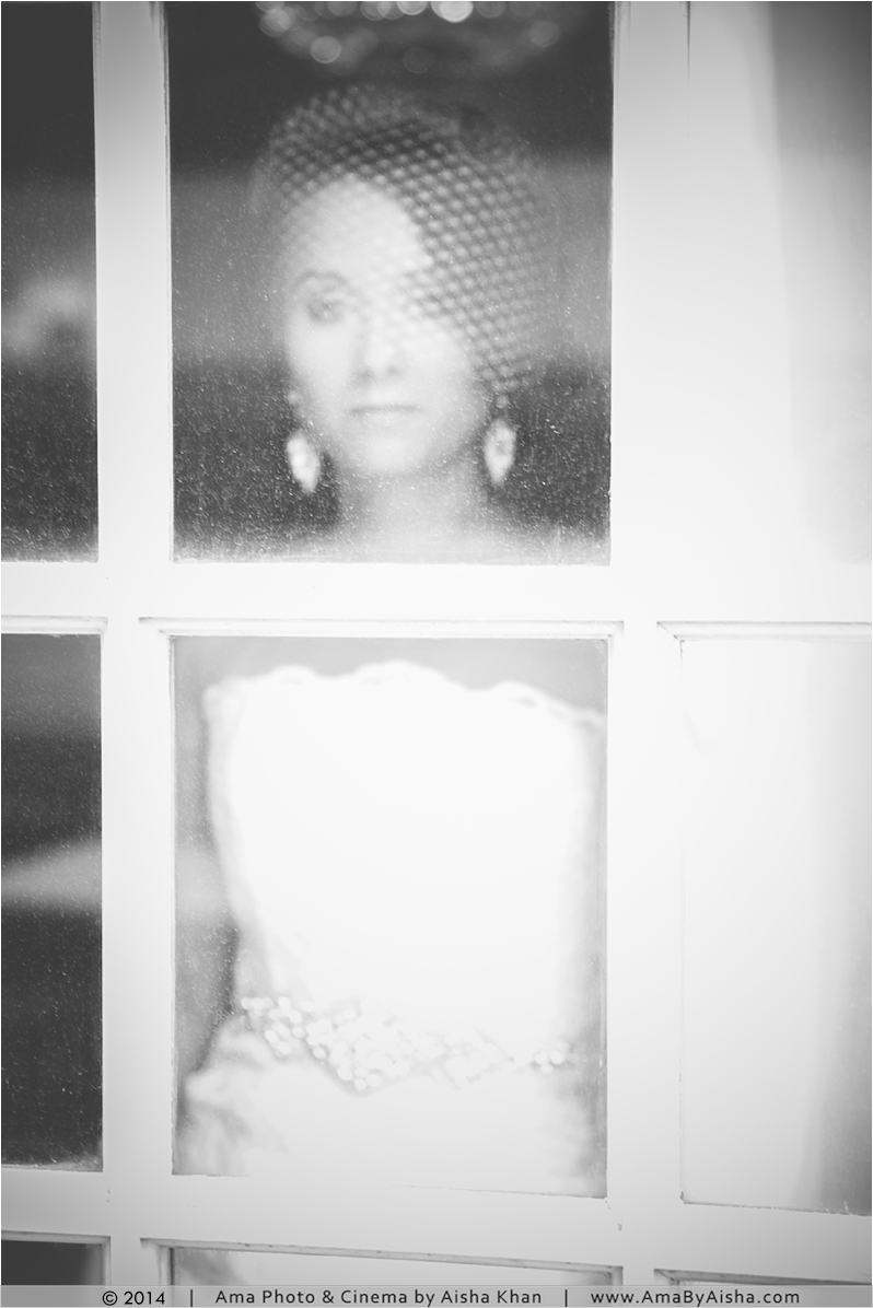 ©2014 | www.AmaByAisha.com | Crystal Ballroom Bridal Portraits
