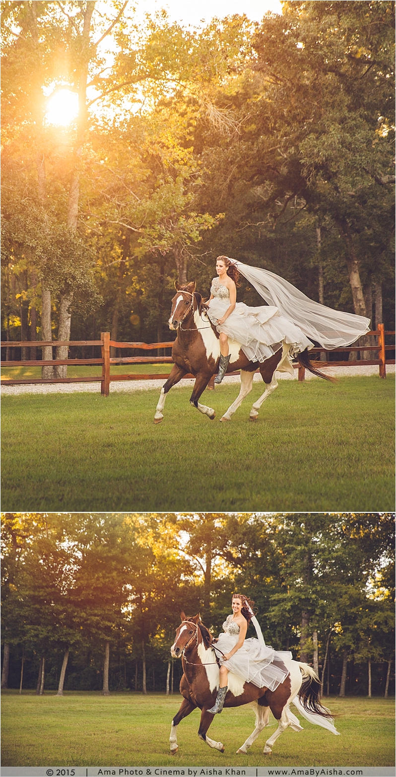©2014 | www.AmaByAisha.com | Bridal Portraits with Horse