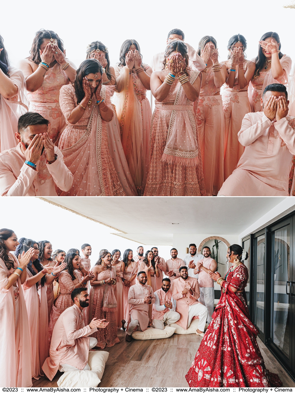 Hindu wedding bridal party